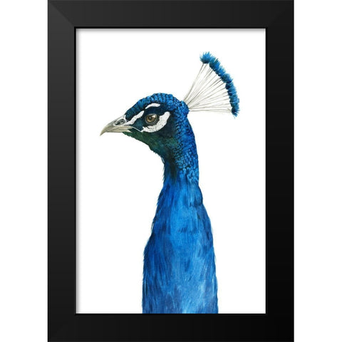 Peacock Portrait II Black Modern Wood Framed Art Print by Popp, Grace