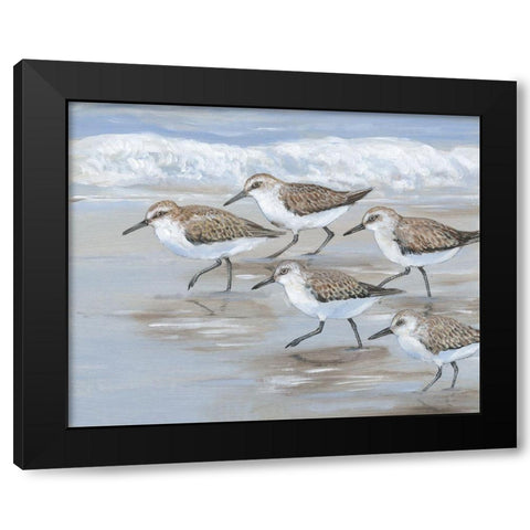 Sandpipers I Black Modern Wood Framed Art Print with Double Matting by OToole, Tim