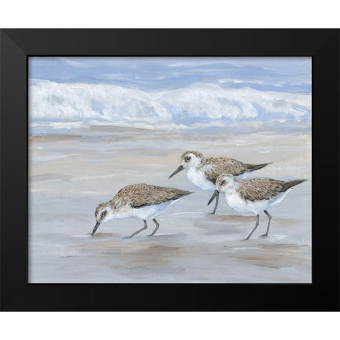 Sandpipers II Black Modern Wood Framed Art Print by OToole, Tim