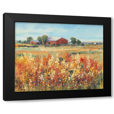 Country View II Black Modern Wood Framed Art Print with Double Matting by OToole, Tim