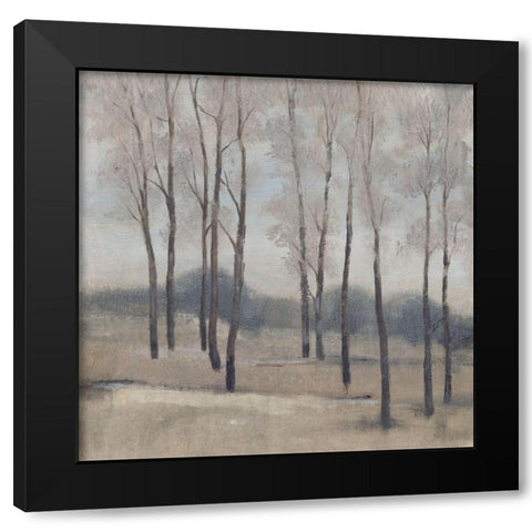 Soft Light II Black Modern Wood Framed Art Print with Double Matting by OToole, Tim