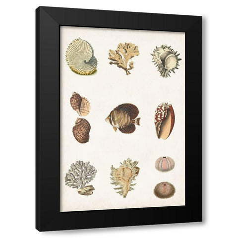 Antique Coastal Chart I Black Modern Wood Framed Art Print with Double Matting by Vision Studio