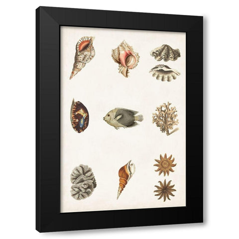 Antique Coastal Chart II Black Modern Wood Framed Art Print with Double Matting by Vision Studio