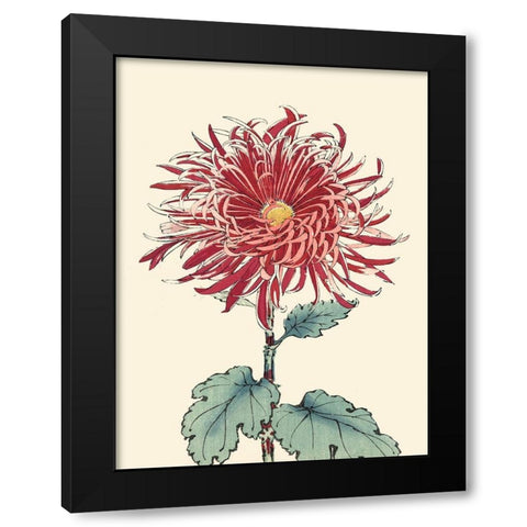 Chrysanthemum Woodblock I Black Modern Wood Framed Art Print with Double Matting by Unknown