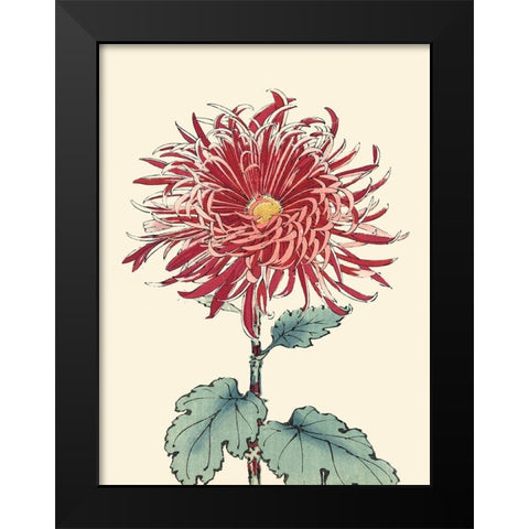 Chrysanthemum Woodblock I Black Modern Wood Framed Art Print by Unknown