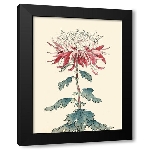 Chrysanthemum Woodblock III Black Modern Wood Framed Art Print with Double Matting by Unknown