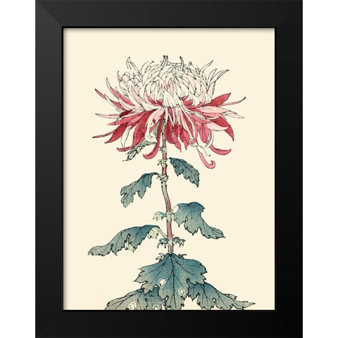 Chrysanthemum Woodblock III Black Modern Wood Framed Art Print by Unknown