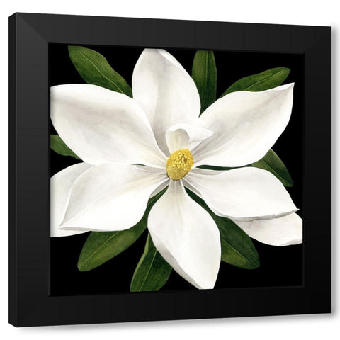 Midnight Magnolia I Black Modern Wood Framed Art Print with Double Matting by Popp, Grace