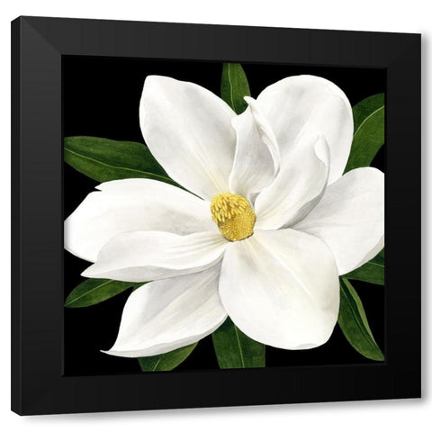 Midnight Magnolia II Black Modern Wood Framed Art Print with Double Matting by Popp, Grace