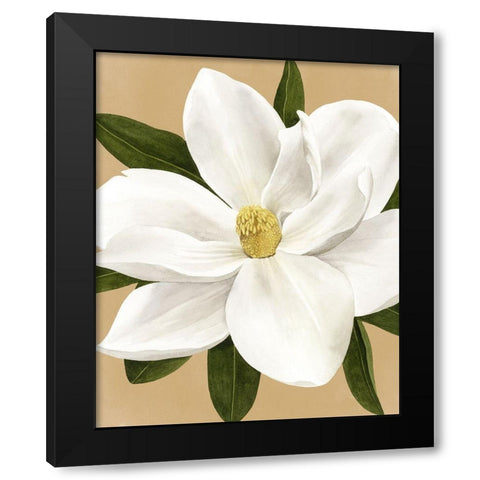 Magnolia on Gold I Black Modern Wood Framed Art Print with Double Matting by Popp, Grace