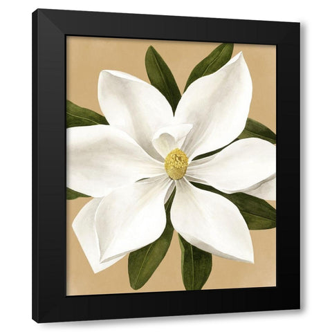 Magnolia on Gold II Black Modern Wood Framed Art Print with Double Matting by Popp, Grace