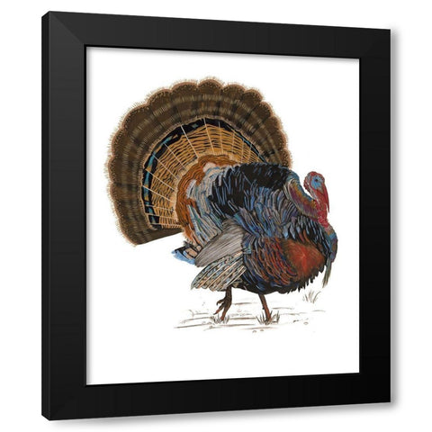 Turkey Study I Black Modern Wood Framed Art Print with Double Matting by Wang, Melissa