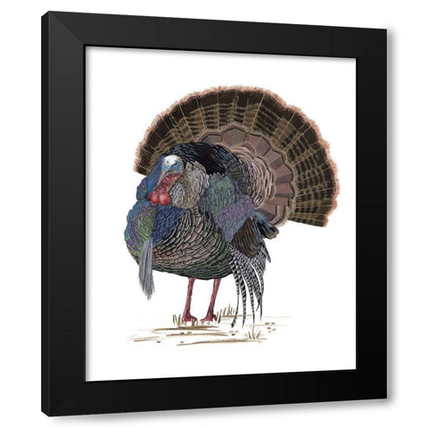 Turkey Study II Black Modern Wood Framed Art Print with Double Matting by Wang, Melissa