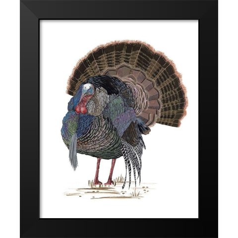 Turkey Study II Black Modern Wood Framed Art Print by Wang, Melissa