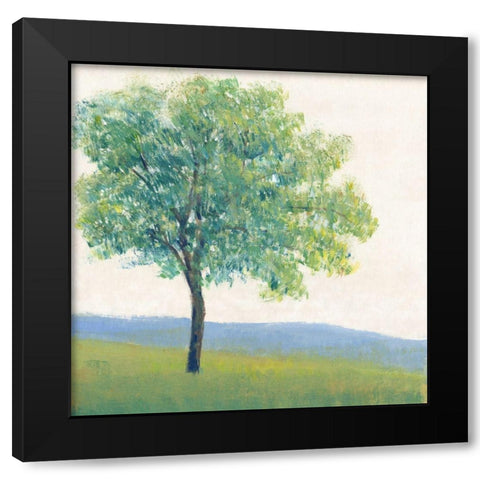 Solitary Tree I Black Modern Wood Framed Art Print with Double Matting by OToole, Tim