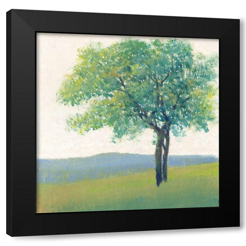 Solitary Tree II Black Modern Wood Framed Art Print with Double Matting by OToole, Tim