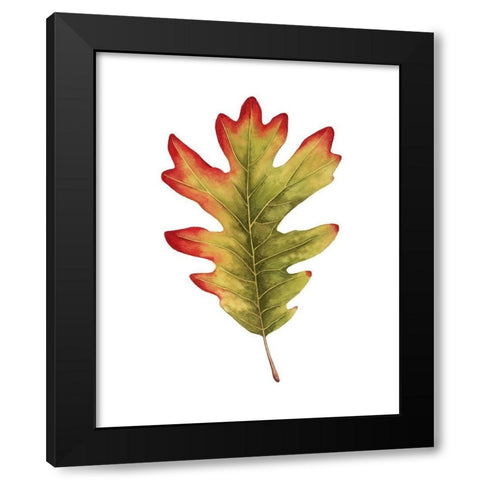 Fall Leaf Study II Black Modern Wood Framed Art Print with Double Matting by Popp, Grace