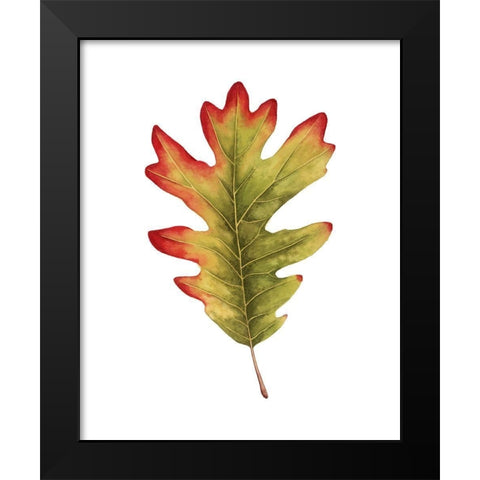 Fall Leaf Study II Black Modern Wood Framed Art Print by Popp, Grace