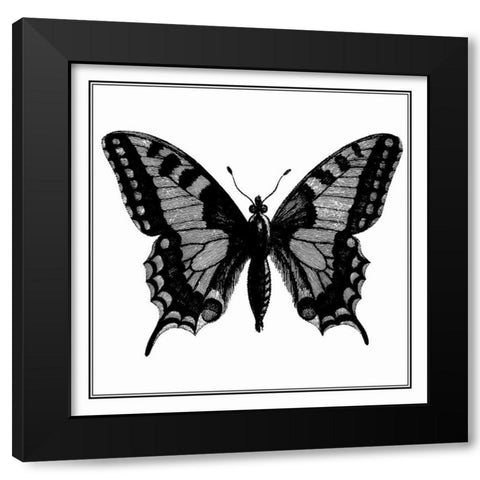 Custom Classical Butterfly I Black Modern Wood Framed Art Print with Double Matting by Vision Studio