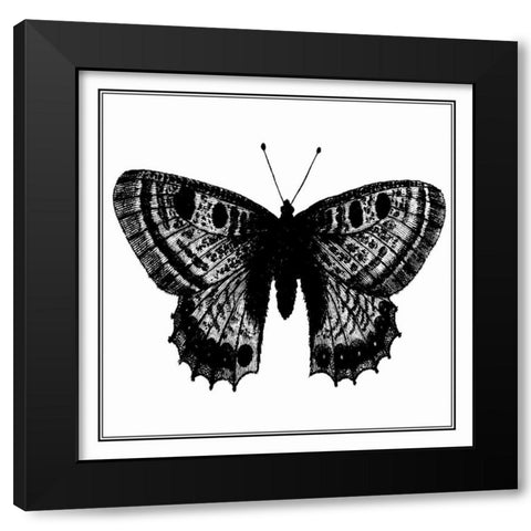 Custom Classical Butterfly II Black Modern Wood Framed Art Print with Double Matting by Vision Studio