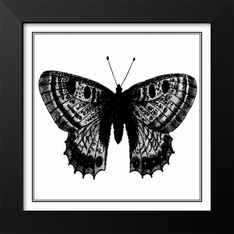 Custom Classical Butterfly II Black Modern Wood Framed Art Print by Vision Studio