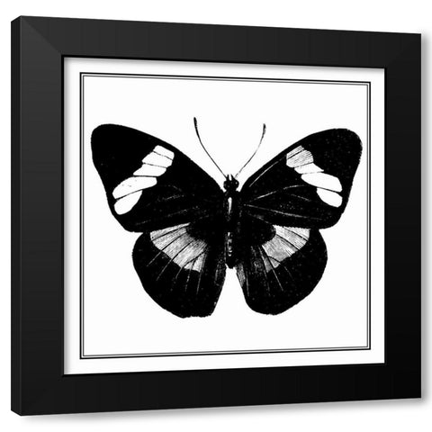 Custom Classical Butterfly III Black Modern Wood Framed Art Print with Double Matting by Vision Studio