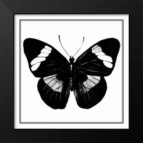 Custom Classical Butterfly III Black Modern Wood Framed Art Print by Vision Studio