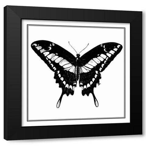 Custom Classical Butterfly IV Black Modern Wood Framed Art Print with Double Matting by Vision Studio