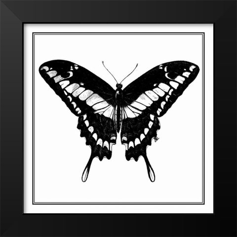 Custom Classical Butterfly IV Black Modern Wood Framed Art Print by Vision Studio