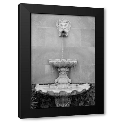 Black and White Fountains I Black Modern Wood Framed Art Print by DeNardo, Laura