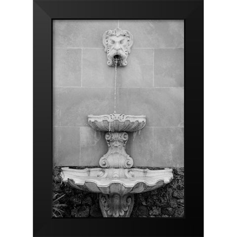 Black and White Fountains I Black Modern Wood Framed Art Print by DeNardo, Laura