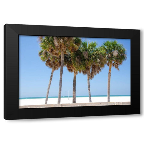 Coastal Palms I Black Modern Wood Framed Art Print with Double Matting by DeNardo, Laura