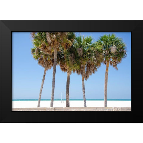 Coastal Palms I Black Modern Wood Framed Art Print by DeNardo, Laura