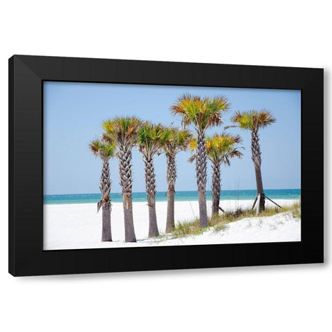 Coastal Palms II Black Modern Wood Framed Art Print by DeNardo, Laura