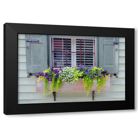 Pastel Windows IV Black Modern Wood Framed Art Print by DeNardo, Laura