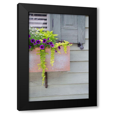 Pastel Windows V Black Modern Wood Framed Art Print by DeNardo, Laura