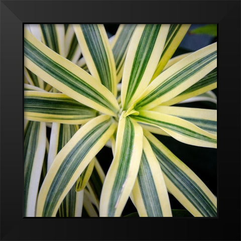 Cropped Garden Leaves I Black Modern Wood Framed Art Print by DeNardo, Laura