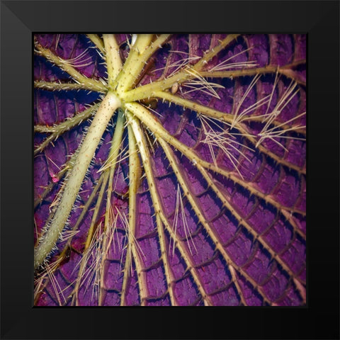 Cropped Garden Leaves IV Black Modern Wood Framed Art Print by DeNardo, Laura