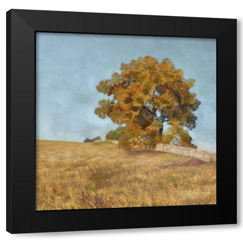 Autumns Tranquility I Black Modern Wood Framed Art Print with Double Matting by Saunders, Alonzo