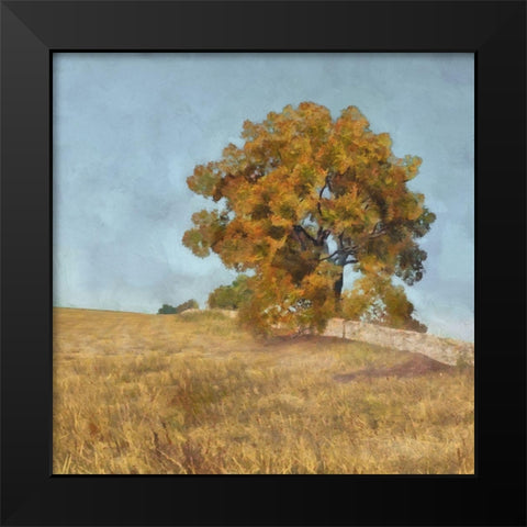 Autumns Tranquility I Black Modern Wood Framed Art Print by Saunders, Alonzo