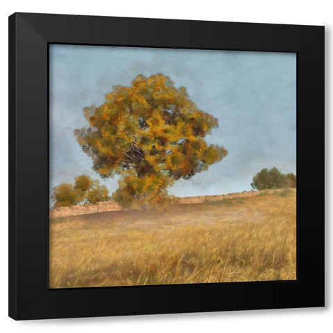 Autumns Tranquility II Black Modern Wood Framed Art Print by Saunders, Alonzo