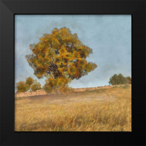 Autumns Tranquility II Black Modern Wood Framed Art Print by Saunders, Alonzo