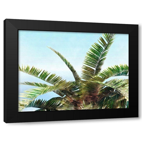 Pleasant Palms I Black Modern Wood Framed Art Print with Double Matting by Saunders, Alonzo