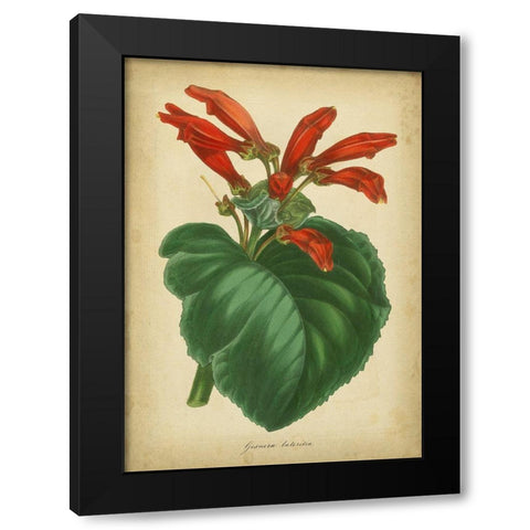 Vermillion Blooms I Black Modern Wood Framed Art Print by Paxton