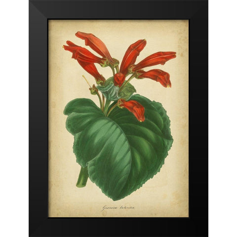 Vermillion Blooms I Black Modern Wood Framed Art Print by Paxton