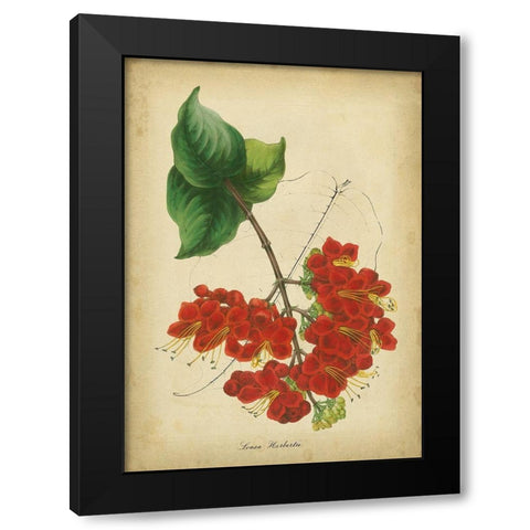 Vermillion Blooms II Black Modern Wood Framed Art Print with Double Matting by Paxton
