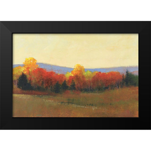 Changing Colors II Black Modern Wood Framed Art Print by OToole, Tim