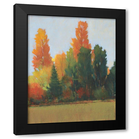 Fall Colors I Black Modern Wood Framed Art Print with Double Matting by OToole, Tim