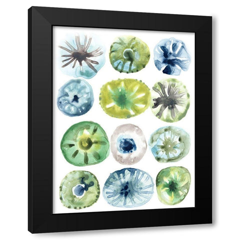 Sea Urchin Assortment I Black Modern Wood Framed Art Print with Double Matting by Vess, June Erica
