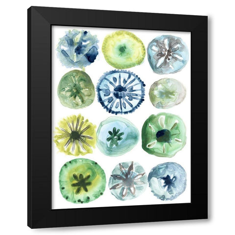 Sea Urchin Assortment II Black Modern Wood Framed Art Print with Double Matting by Vess, June Erica